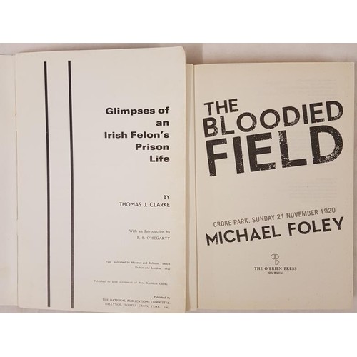 368 - Thomas J. Clarke. Glimpses of an Irish Felon’s Prison Life, 1982;  and Michael Foley The Bloodfield ... 