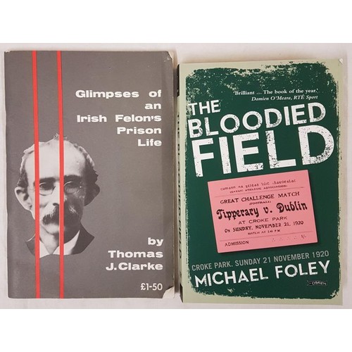 368 - Thomas J. Clarke. Glimpses of an Irish Felon’s Prison Life, 1982;  and Michael Foley The Bloodfield ... 