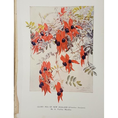 525 - Horace J. Wright and Walter P. Wright  Beautiful flowers and how to Grow Them. Hardcovers 1909. Firs... 