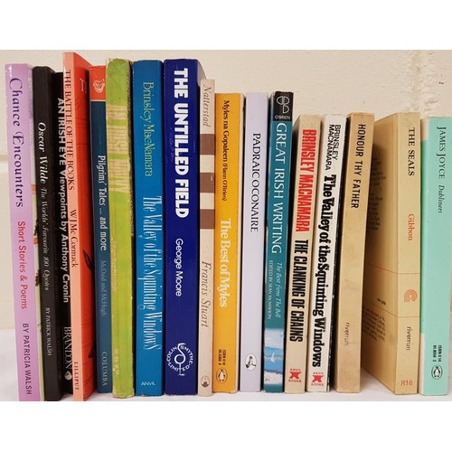 533 - Irish Literature: 17 titles all softcovers, authors include Brinsley Macnamara, Flann O‘Brien, Georg... 