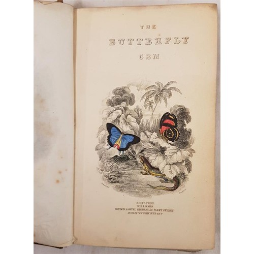 343 - James Duncan. The Natural History of Foreign Butterflies 1837, 1st. 30 hand coloured plates; and E. ... 