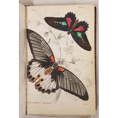 343 - James Duncan. The Natural History of Foreign Butterflies 1837, 1st. 30 hand coloured plates; and E. ... 