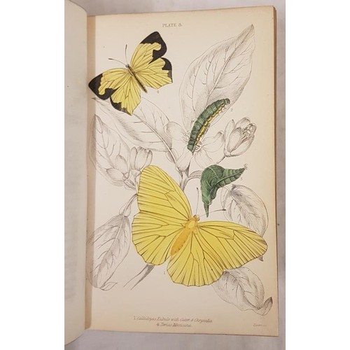 343 - James Duncan. The Natural History of Foreign Butterflies 1837, 1st. 30 hand coloured plates; and E. ... 