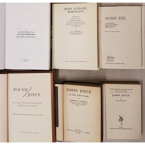 472 - James Joyce Interest:   Joycean Memories Fritz Senn on James Joyce, Lilliput, 2007, dj; Ja... 