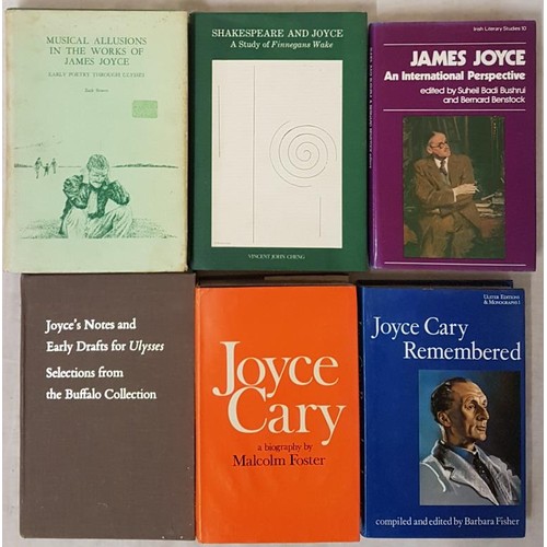 489 - James Joyce Interest:  Shakespeare and Joyce A Study of Finnegans Wake by V J Cheng, Colin Smythe Li... 