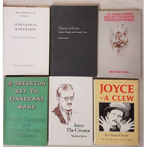 491 - James Joyce Interest:  An Anglo-Irish Dialect Glossary For Joyce's Works by Richard Wall, 1986, dj; ... 