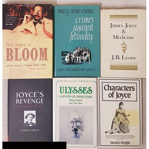 493 - James Joyce Interest - Crimes Against Fecundity-Joyce and Population Control by Mary Lowe-Evans, Syr... 