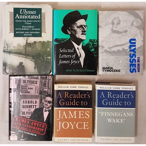 505 - James Joyce Interest - The Irish Ulysses by Maria Tymoczko, 1994, dj; A Reader's Guide to Finnegans ... 