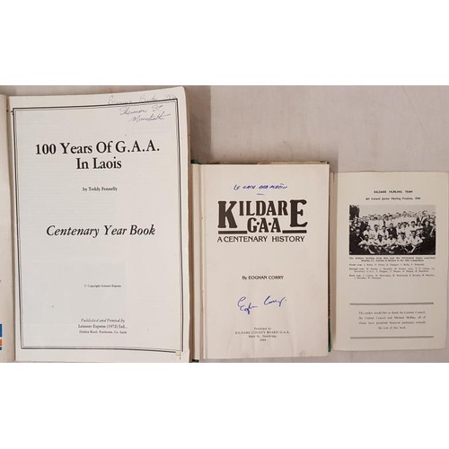 14 - Kildare & Laois G.A.A. - Kildare Gaelic Athletic Association 1887-1975; Kildare G.A.A. A Centena... 