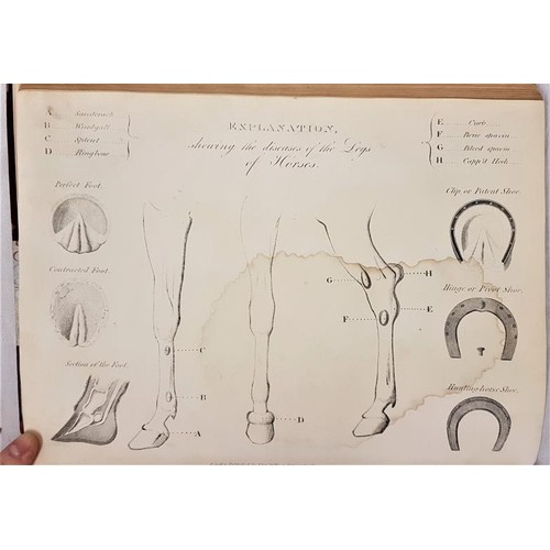 343 - Richard Lawrence. The Complete Farrier and British Sportsman. C. 1850. Quarto. Half calf. Numerous e... 