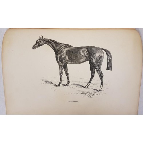 343 - Richard Lawrence. The Complete Farrier and British Sportsman. C. 1850. Quarto. Half calf. Numerous e... 