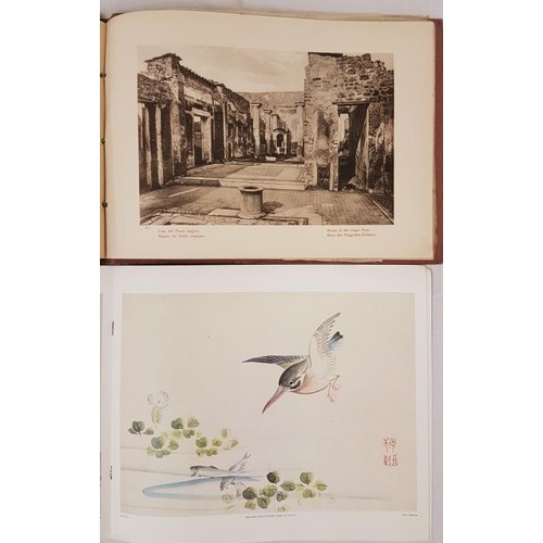 364 - Records of Pompeii. C. 1900. Folio. Illustrated Stiff pictorial wrappers and Koyo. Japanese Birds an... 