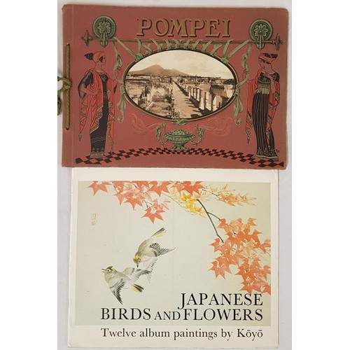 364 - Records of Pompeii. C. 1900. Folio. Illustrated Stiff pictorial wrappers and Koyo. Japanese Birds an... 