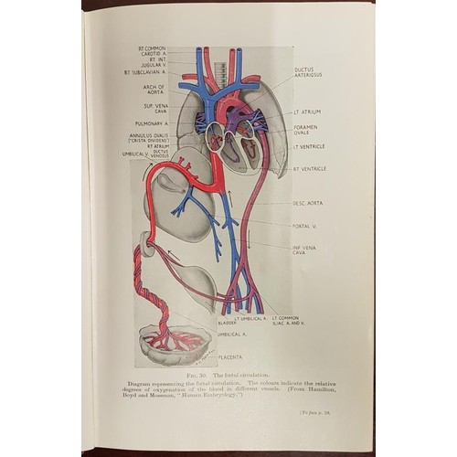 374 - Medical: Textbook of Obstetrics by John F. Cunningham, 1964, Hardback