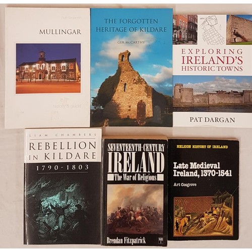 158 - Fitzpatrick, Seventeenth-century Ireland, NGHI 3, 1988; Late Medieval Ireland, Art Cosgrove; Rebelli... 