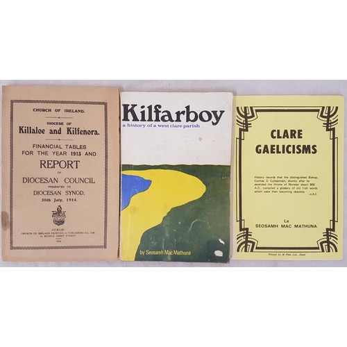 177 - County Clare. Kilfarboy History of a West Clare Parish by Seosamh MacMathuna.; Clare Gaelicisms by M... 