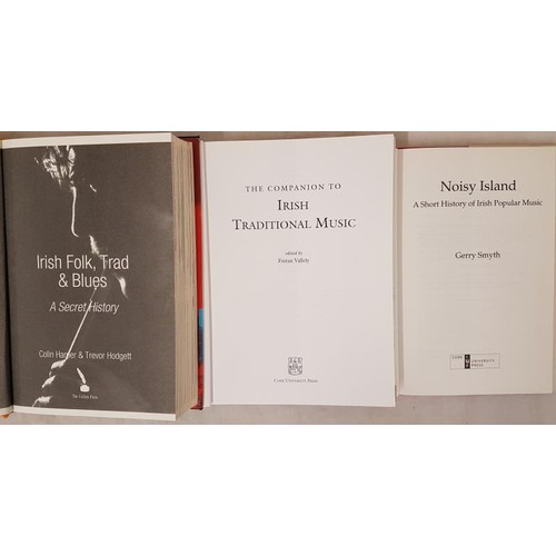 640 - The Companion to Irish Traditional Music, Fintan Vallely, Cork University Press, 1999, First Edition... 