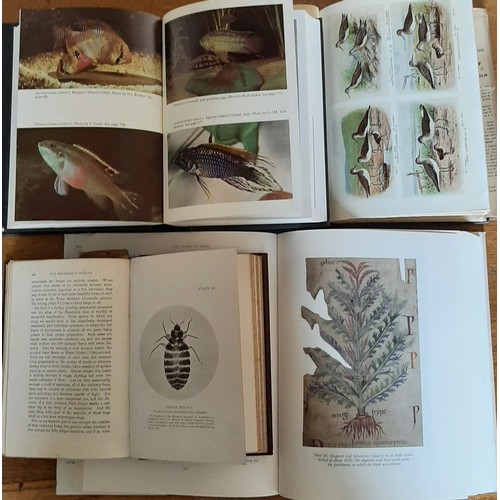 647 - Natural History: Freshwater Fishes of the World (2 vols in slipcase, 1973); Our House Hold Insects (... 