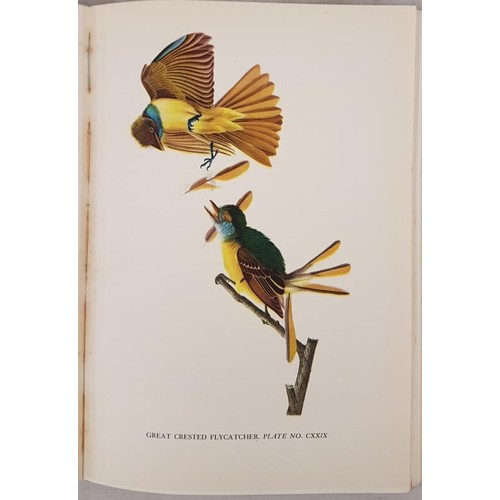 172 - C. Rourke. Audubon. 1936. 1st. Fine coloured bird plates drawn from original Audubon prints.... 