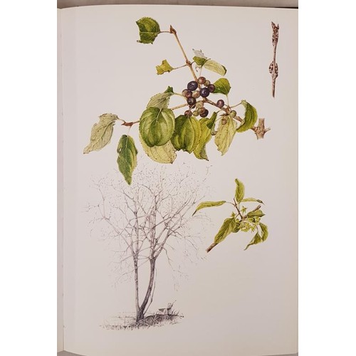 421 - [Wendy Walsh] Trees of Ireland Native and Naturalized by Charles Nelson with colour illustrations by... 