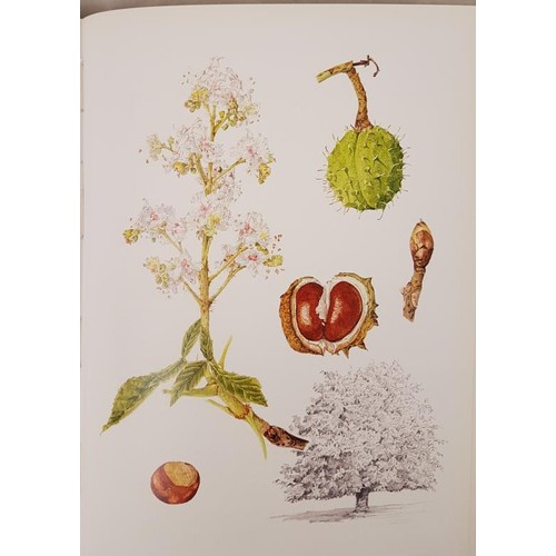 421 - [Wendy Walsh] Trees of Ireland Native and Naturalized by Charles Nelson with colour illustrations by... 