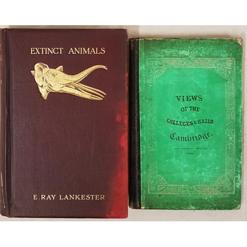 452 - E.R. Lankester. Existing Animals. 1905. 1st. Numerous illustrations. Original gilt red cloth and Vie... 