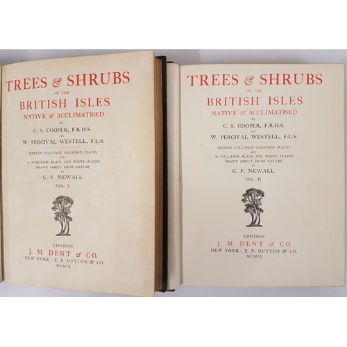 462 - C.S. Cooper & W.P. Westell. Trees and Shrubs of The British Isles. 1909. 1st. 2 volumes. With 16... 