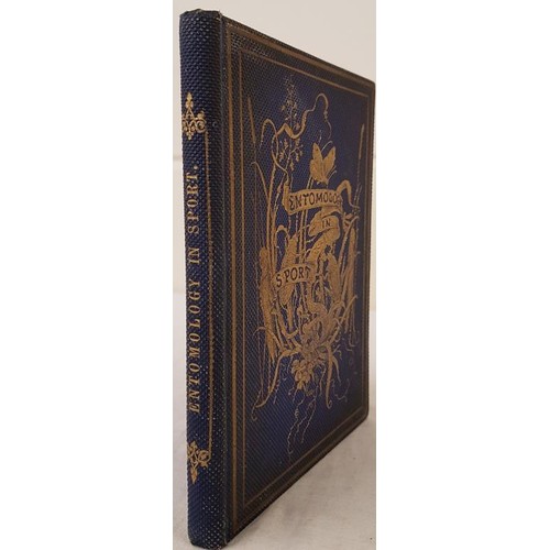 530 - [rare Irish book] Entomology in Sport; and Entomology in earnest. Mrs. W. And Lady M. Mary Ward, Jan... 