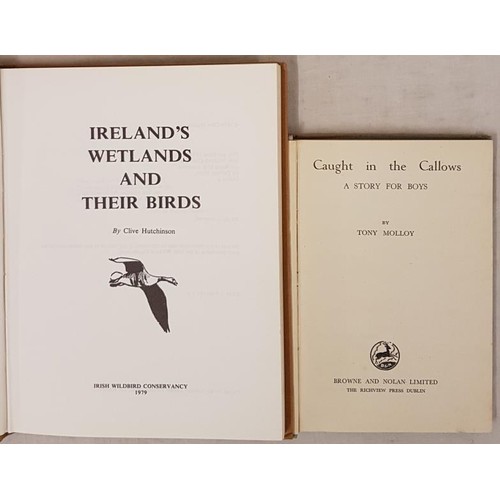 581 - Hutchinson, Clive. Ireland's Wetlands And Their Birds, 1979; and Molloy, Tony. Caught In The Callows... 