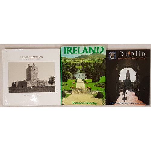 643 - Dublin Portrait of a City, folio, 1997, vg. Sheehy, Ireland, folio, dj, vg. McCullough and Mulvin, A... 