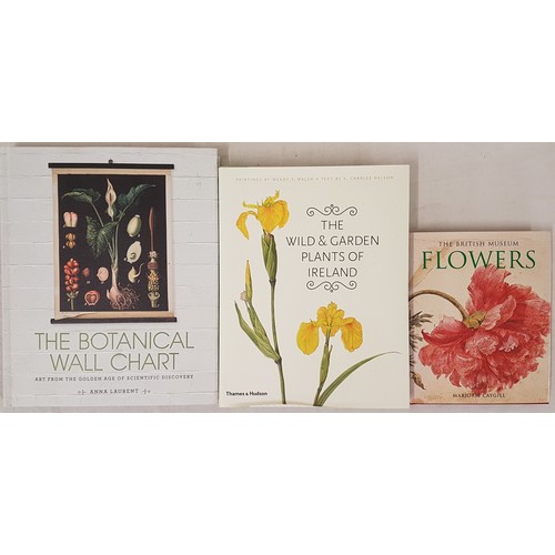 650 - The Wild and Garden Plants of Ireland, Thames and Hudson, 4to, 2009. The Botanical Wallchart, art fr... 