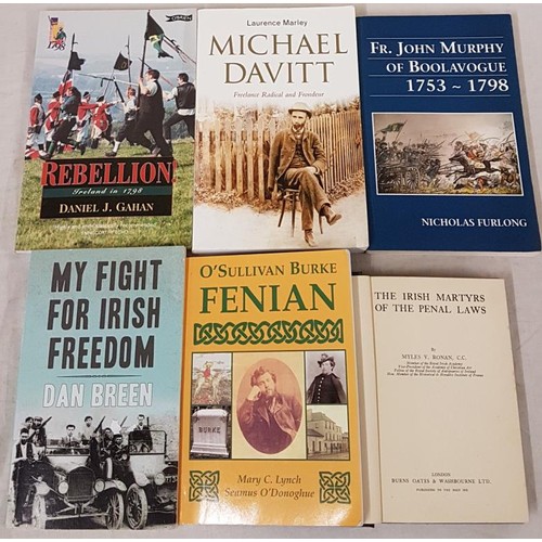 113 - The Irish Martyrs of the Penal Laws (HB) by Myles V. Ronan, O’Sullivan Burke Fenian by Mary C. Lynch... 