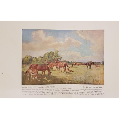 60 - Lionel Edwards. Sketches in Stable and Kennel. 1936. Folio. Coloured hunting plates.