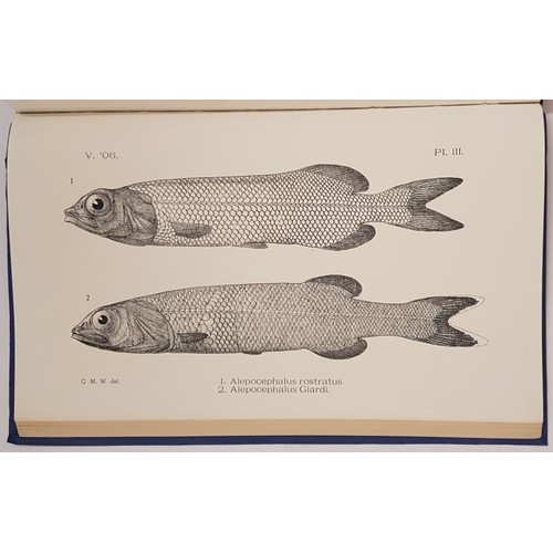 17 - Report of the Sea and Inland Fish of Ireland. 1909. Numerous folding plates plus 6 additional plates... 