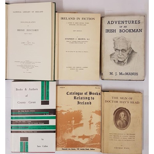 60 - Irish book collecting. Ireland in Fiction. Novels, Tales, Romances, Folk-lore by Stephen Brown. Maun... 