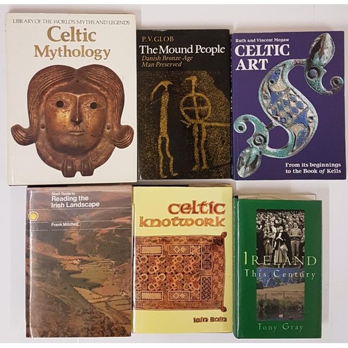 79 - Celtic Knotwork by Iain Bain. Ireland this Century by Tony Gray. The Shell Guide to reading the Iris... 