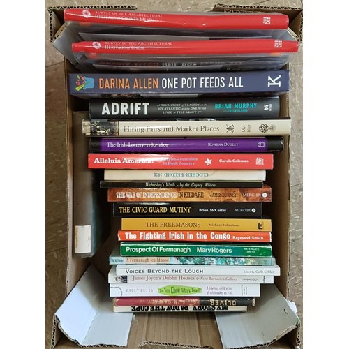 47 - Small box of Irish non fiction, literature, politics, history, architecture and misc. (20)