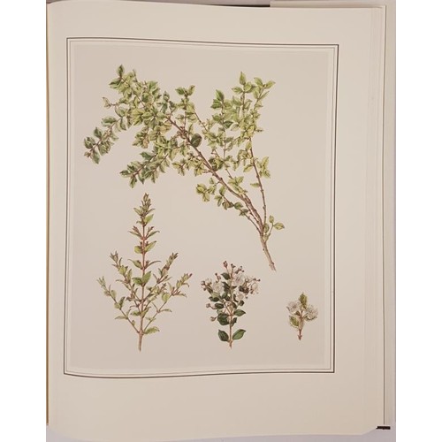 54 - An Irish Florilegium, Wild and Garden Plants of Ireland. 48 Watercolour Paintings by Wendy Walsh. In... 