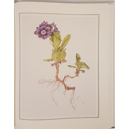 54 - An Irish Florilegium, Wild and Garden Plants of Ireland. 48 Watercolour Paintings by Wendy Walsh. In... 