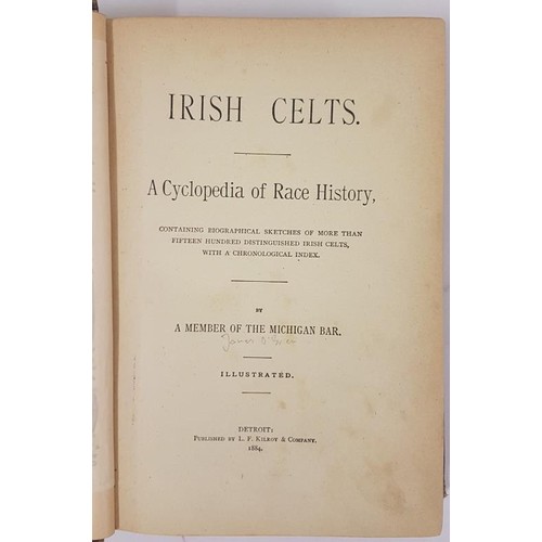 81 - Irish Celts A Cyclopedia Of Race History containing biographical sketches of more than fifteen hundr... 