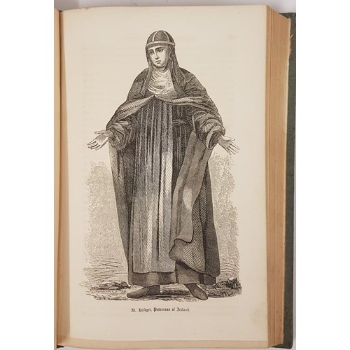 231 - Ecclesiastical History of Ireland with the Monasteries of Each County, Biographical Notices of the I... 