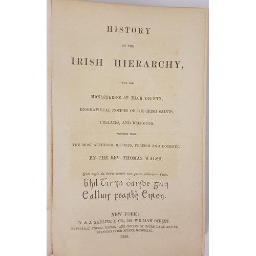 231 - Ecclesiastical History of Ireland with the Monasteries of Each County, Biographical Notices of the I... 