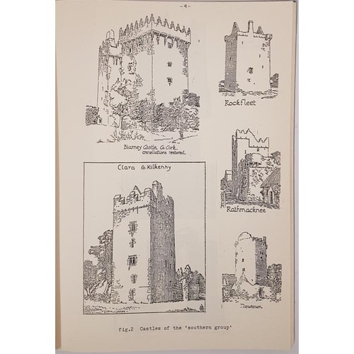 295 - The Towerhouses of East Kildare by Tadgh O'Keeffe. A Dissertation presented as part of B.A. Honours ... 