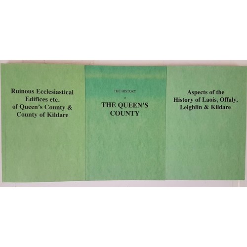 383 - The History of Queen’s County; Ruinous Ecclesiastical Edifices, etc of Queen’s county an... 