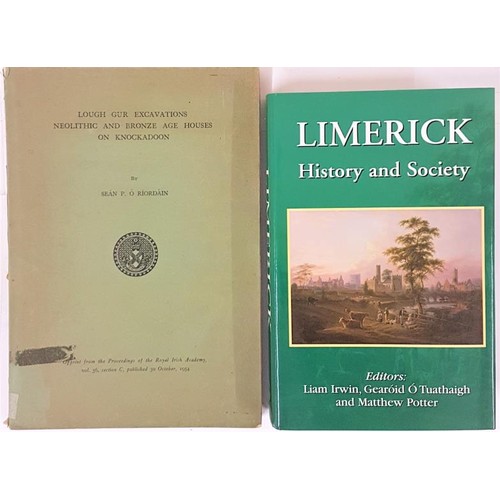 422 - Limerick interest: Limerick History and Society, Geography publications, 2009, pristine copy, 697 pp... 