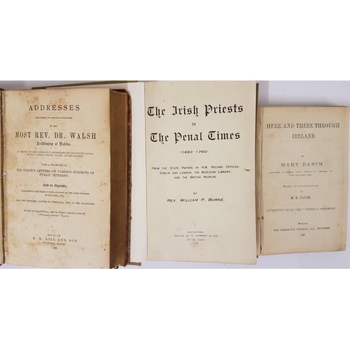 540 - Here and There Through Ireland by Mary Banim. Freeman’s Journal.1891. later cloth; Irish Pries... 