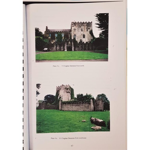 646 - An Analysis of the Tower Houses in a County Offaly Study Area by Niall Fennelly, 1997, thesis... 