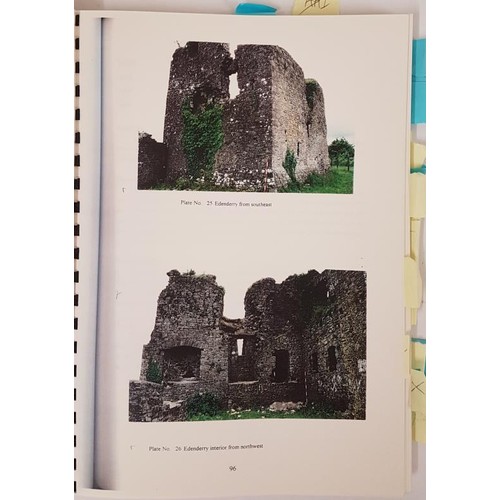 646 - An Analysis of the Tower Houses in a County Offaly Study Area by Niall Fennelly, 1997, thesis... 