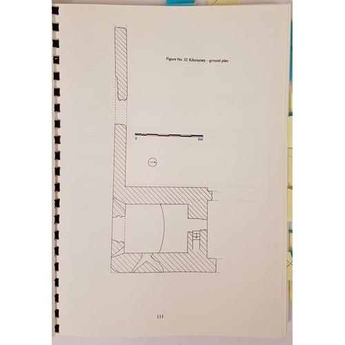 646 - An Analysis of the Tower Houses in a County Offaly Study Area by Niall Fennelly, 1997, thesis... 