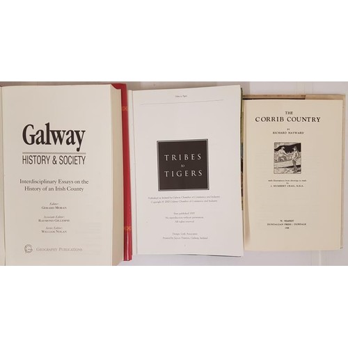 661 - Galway History and Society, Geography Publications, Moran and Gillespie, large 8vo 1996, 848 pps, al... 